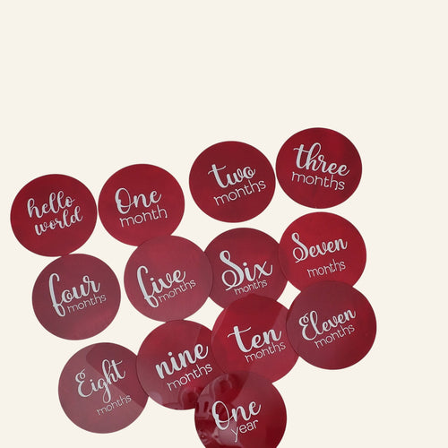 4" Monthly Milestone Markers |Hello World|Baby's First Year|Shower Gift