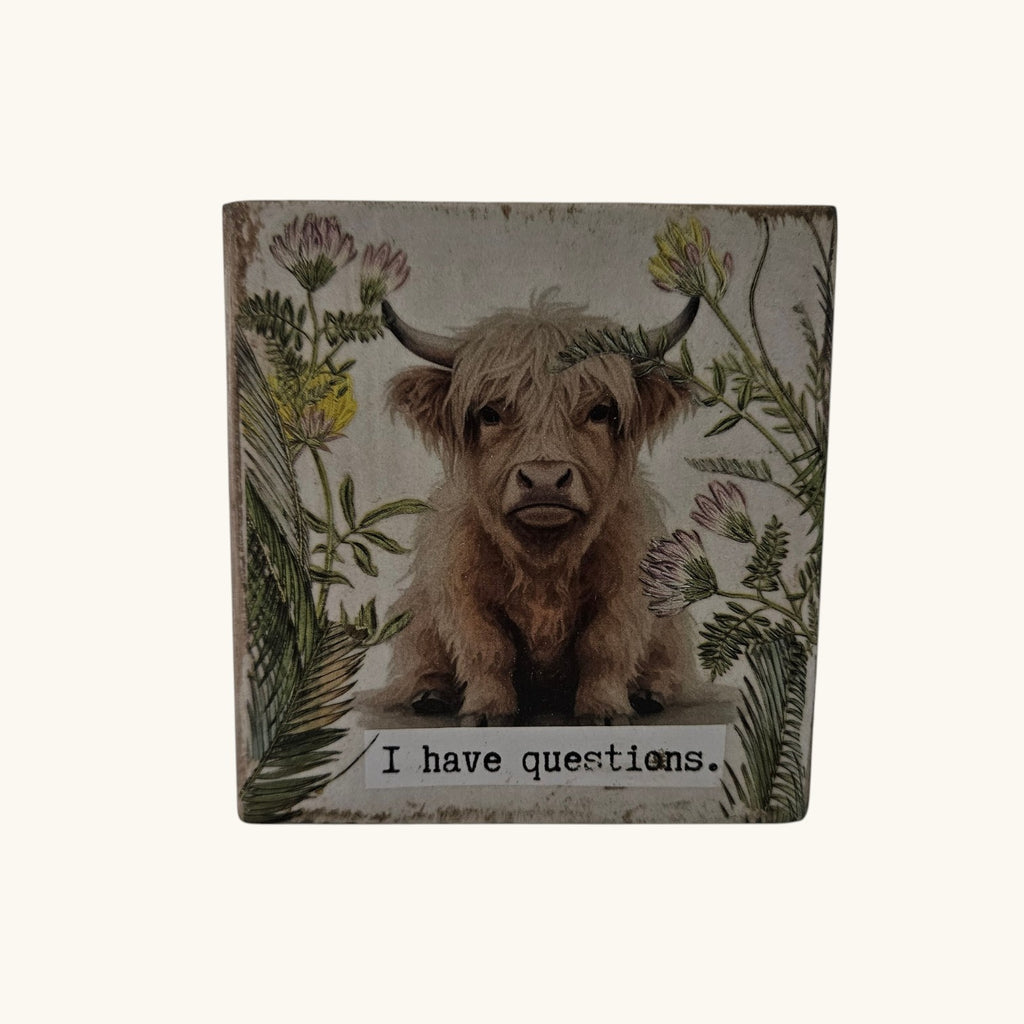 Quirky Shelf or Desk Decor