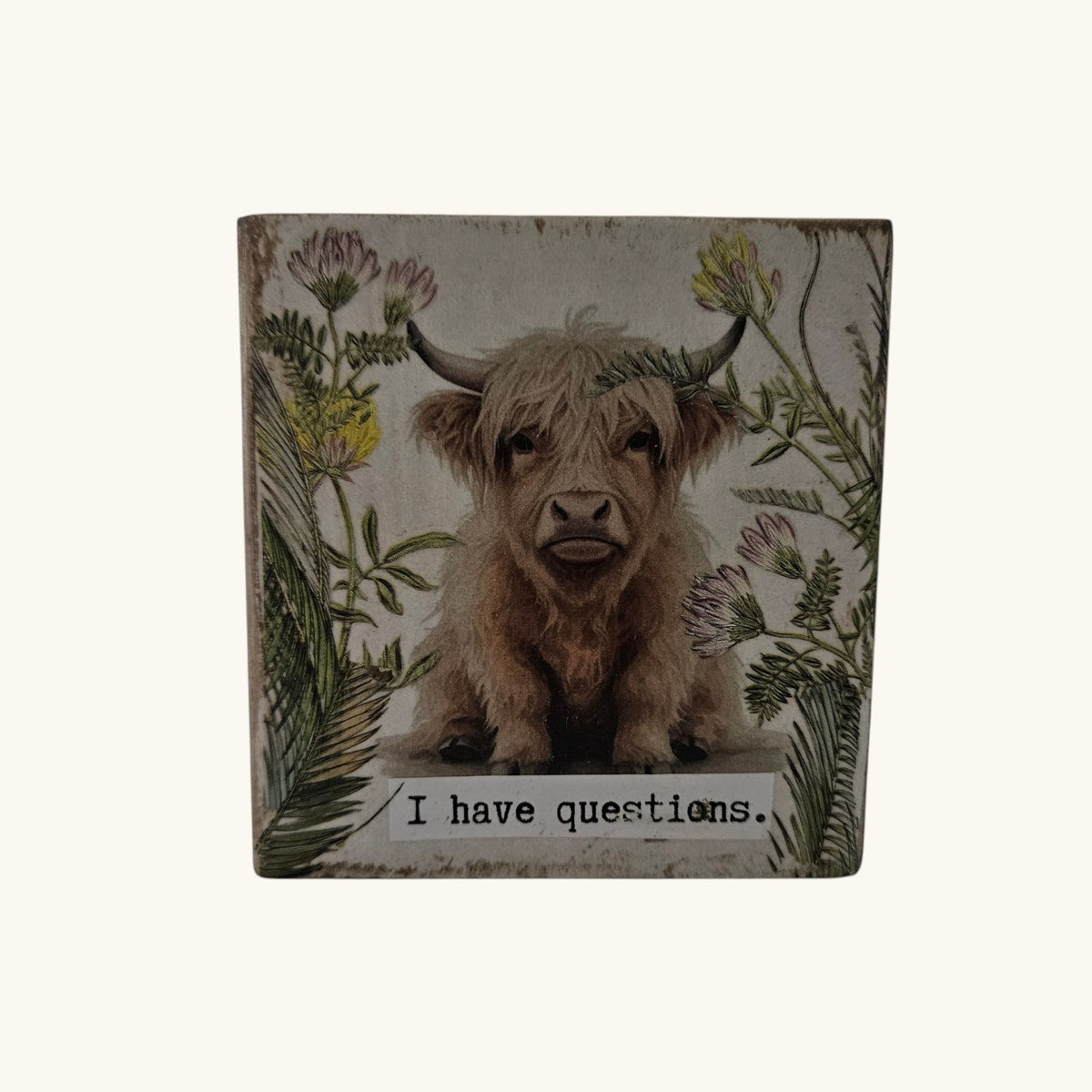 Quirky Shelf or Desk Decor