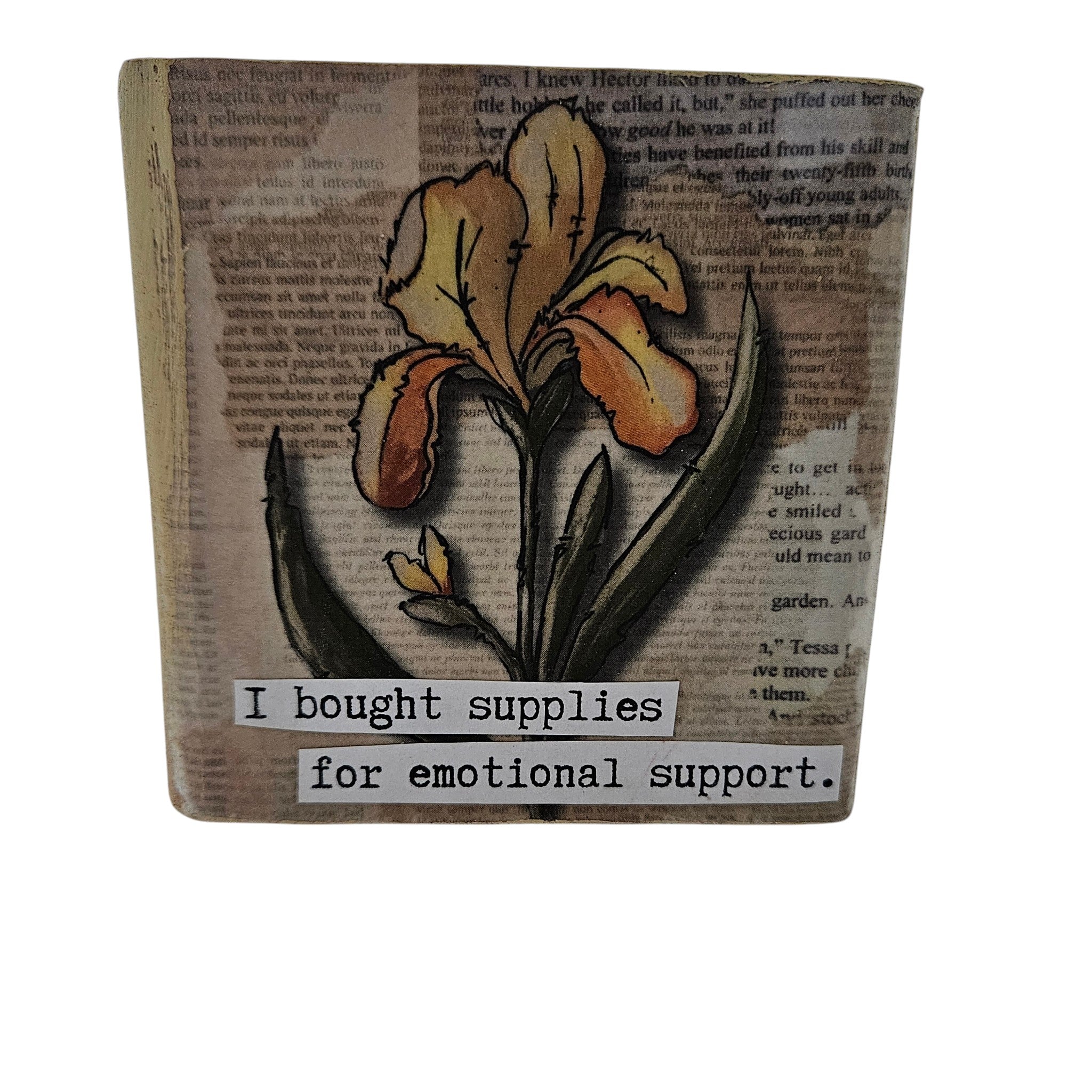 Shelf or Desk Decor