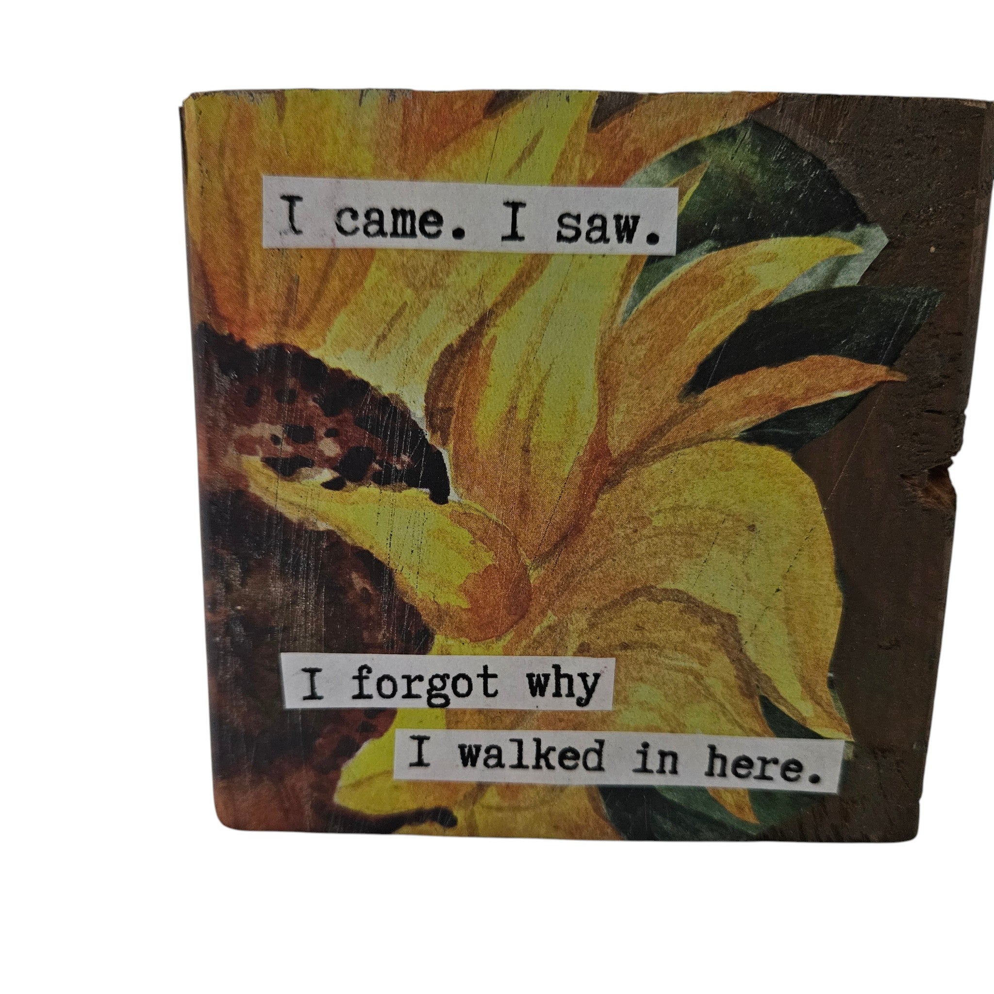 Shelf or Desk Decor