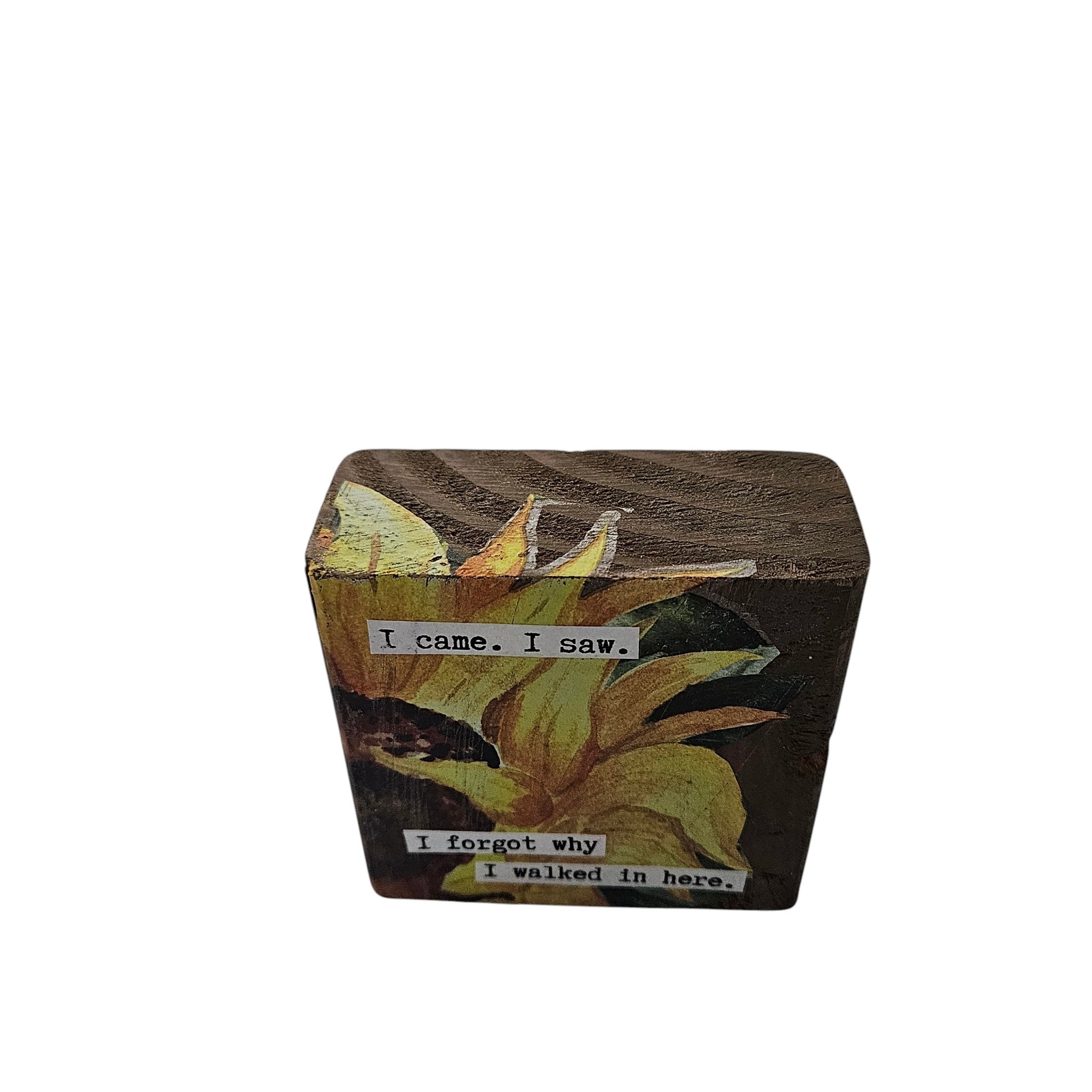 Shelf or Desk Decor