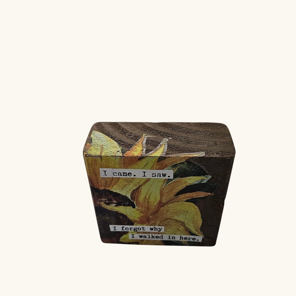Quirky Shelf or Desk Decor