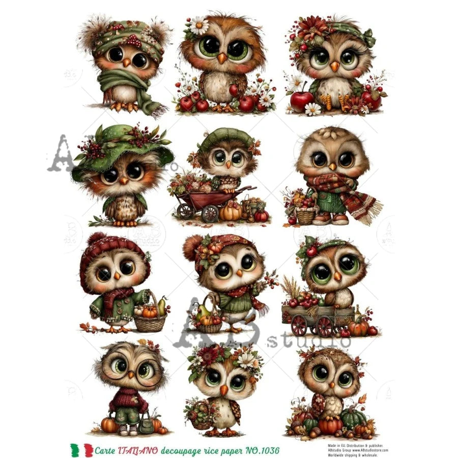 A4 Carte Italiano Harvest Hoots