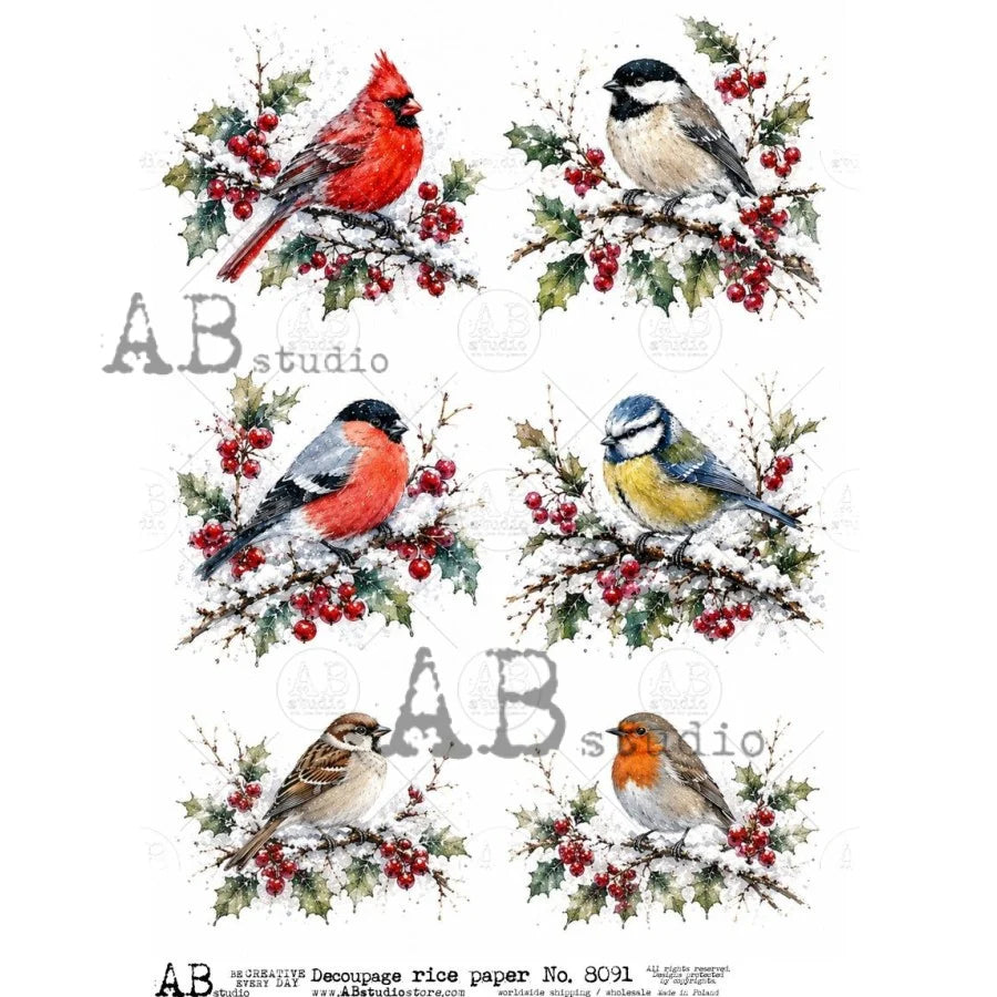 A4 Winter Garden Birds AB Studios Rice Paper