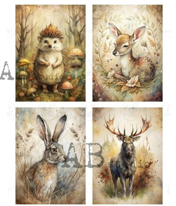 Enchanted Woodland Companions Carte Italiano