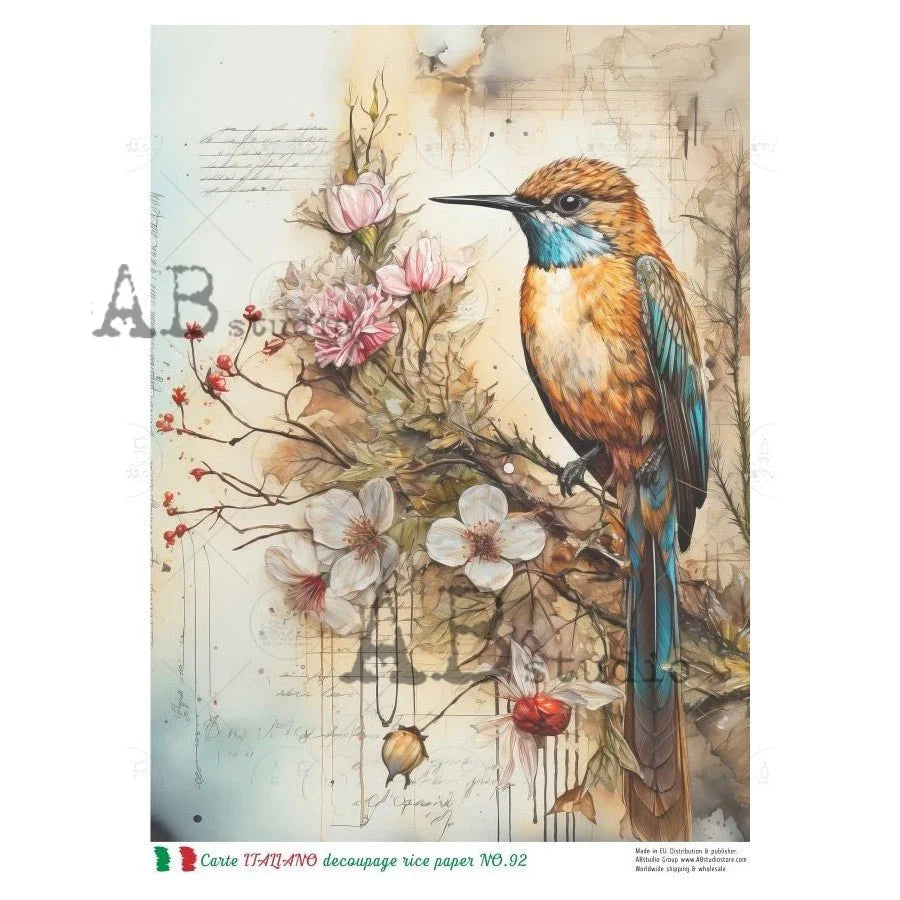 The Hummingbird Carte Italiano 92