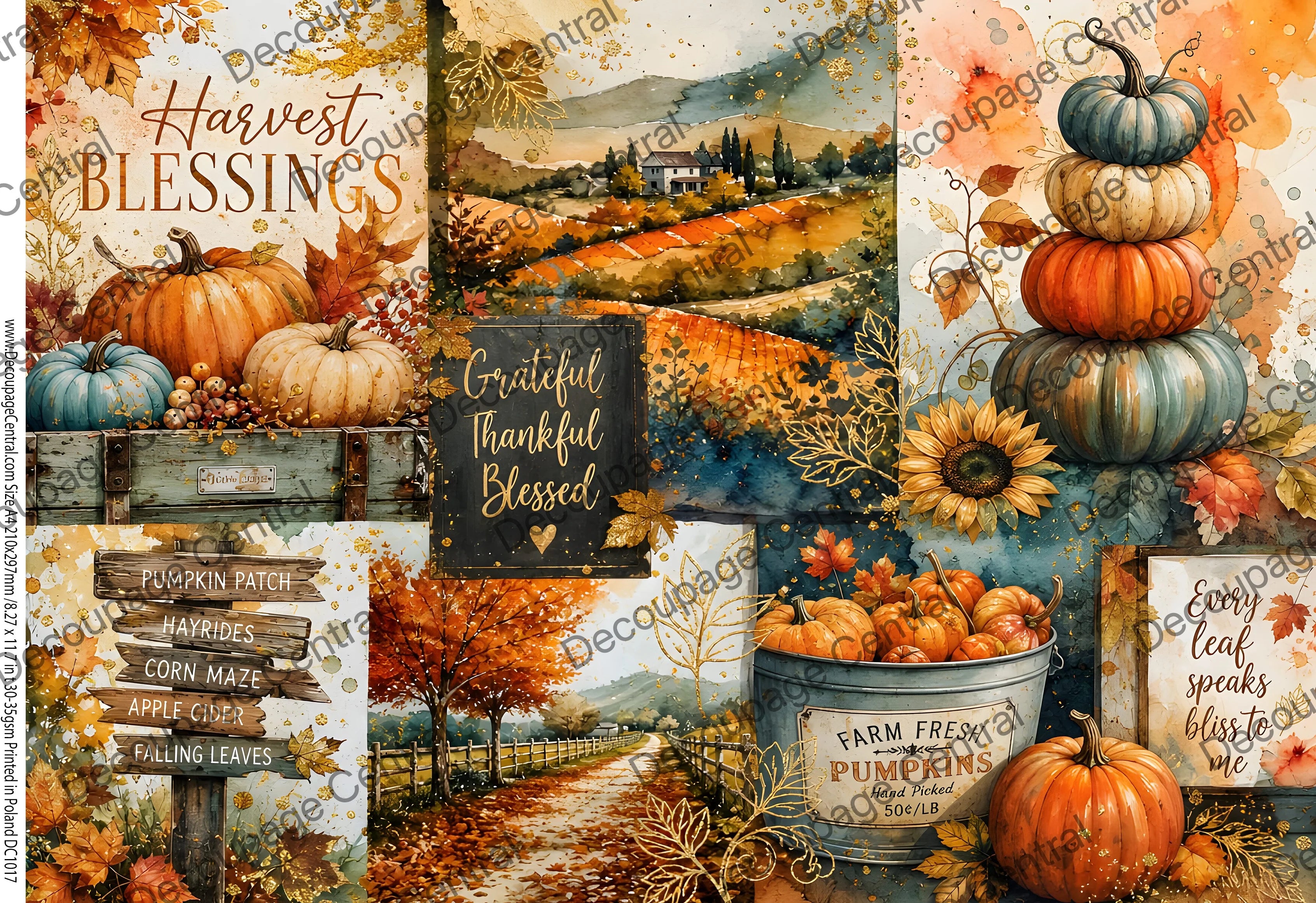 A4 Harvest Blessings